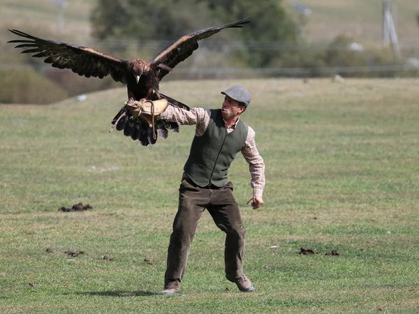 Kyrchyn Gorge Jadi Panggung World Nomad Games