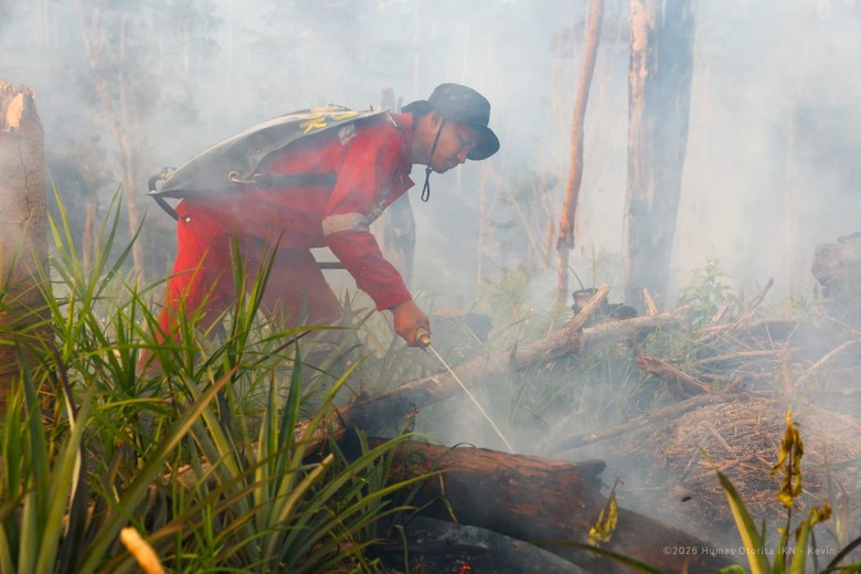 Tangani Karhutla, Otorita IKN Bentuk Satuan Khusus-Bagi 7 Klaster Wilayah