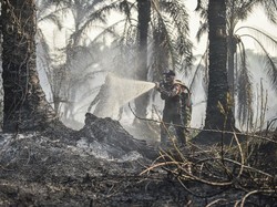 Tanah Gambut Susah Padam karena Terbakar dari Dalam, BRIN Kembangkan Sistem Ini