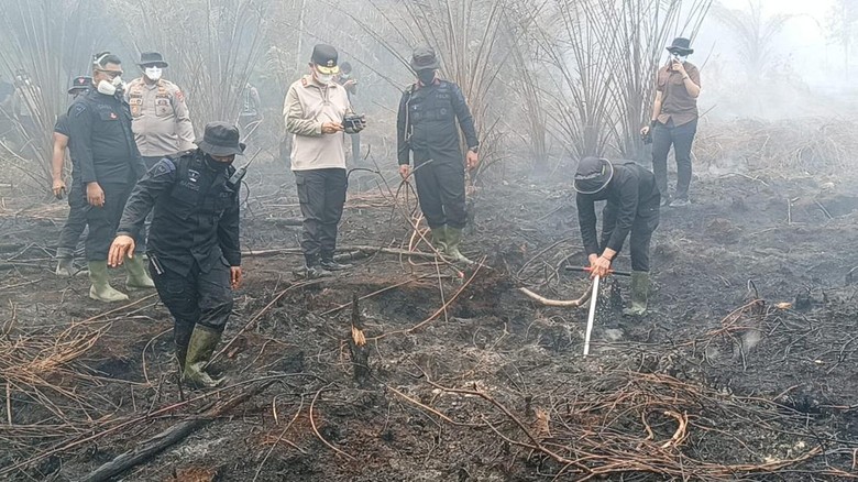 Bara di Lahan Gambut Dicari Pakai Drone Thermal, Lalu Disuntik Cairan Tepung