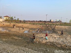 Sungai Juana Pati Jadi Wisata Dadakan gegara Viral Ribuan Ikan Terdampar