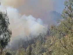 Api Kembali Membara, Kebakaran Gunung Buthak Kian Meluas