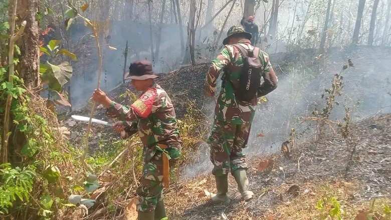 TNI Bantu Padamkan Karhutla di Gunung Latimojong-Lakawan Enrekang