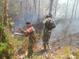TNI Bantu Padamkan Karhutla di Gunung Latimojong-Lakawan Enrekang