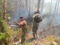 TNI Bantu Padamkan Karhutla di Gunung Latimojong-Lakawan Enrekang