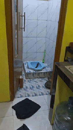 2 Cerita Ular Besar Masuk Rumah Warga Bikin Gempar