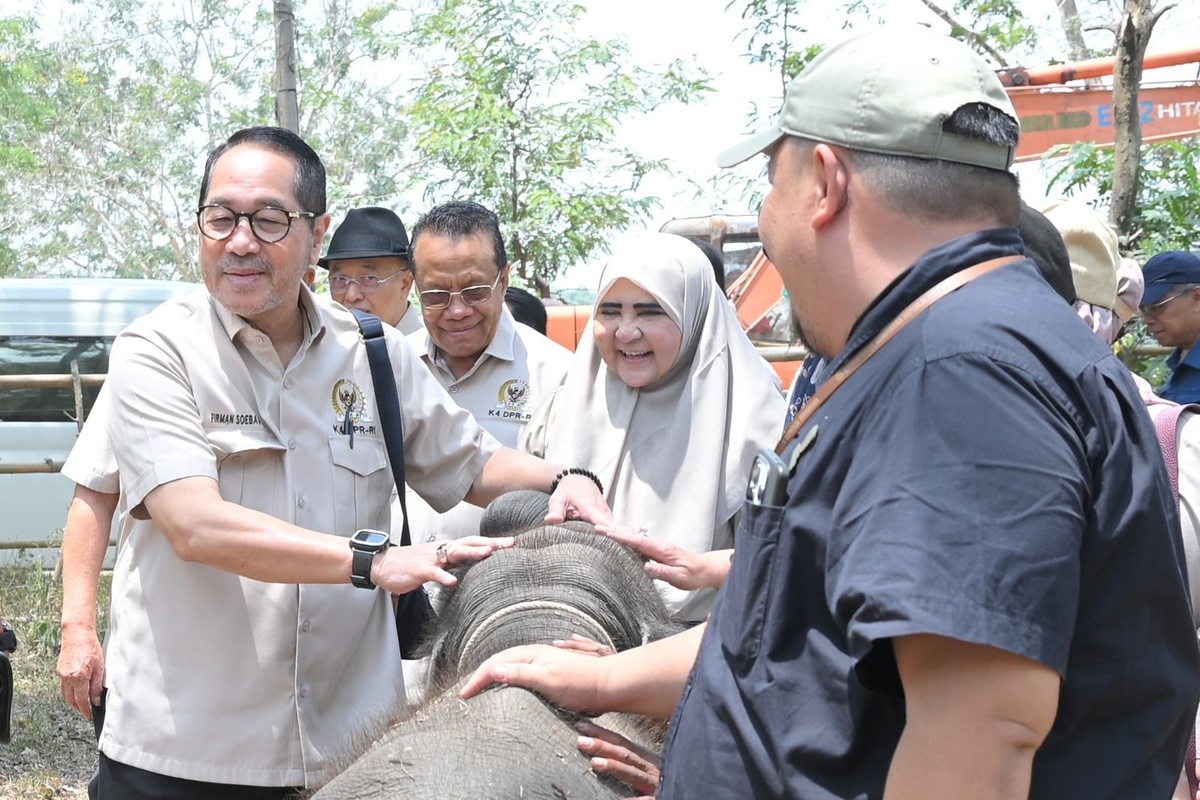 Cegah Karhutla Way Kambas, Firman Soebagyo pacu Penguatan Deteksi Dini