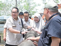 Cegah Karhutla Way Kambas, Firman Soebagyo Dorong Penguatan Deteksi Dini