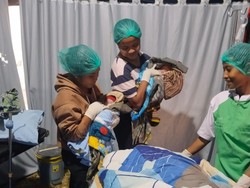 Bayi Kembar Lahir di Tenda Darurat Puskesmas Manggarai Timur