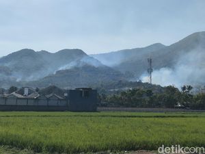 Kebakaran di Kaki Gunung Guntur Garut
