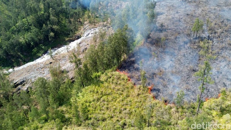 Hari Ke-10 Pemadaman Kebakaran Lahan Gambut di Riau