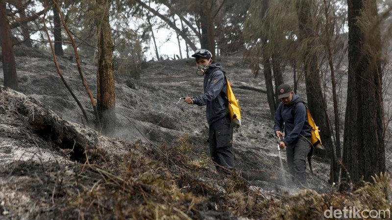 Sederet Kendala Padamkan Karhutla Gunung Ijen