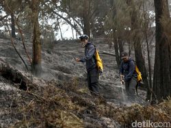 Sederet Kendala Padamkan Karhutla Gunung Ijen