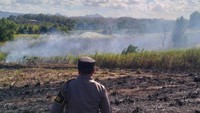 Berawal Bakar Tinja Berujung Lahan Tebu 1,4 Hektare di Tulungagung Terbakar