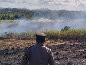 Berawal Bakar Tinja Berujung Lahan Tebu 1,4 Hektare di Tulungagung Terbakar