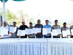 Kemenko Pangan Pastikan Hasil Panen Kedelai Pilot Project Cariu Terserap