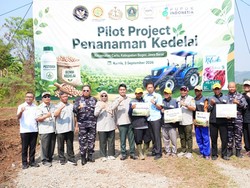 Tekan Impor, Kemenko Pangan Luncurkan Pilot Project Kedelai di Cariu