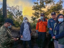 Karhutla Ijen Makin Parah, Pemkab Banyuwangi Minta Bantuan Water Bombing