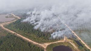 Tim Optimalkan Pemadaman Karhutla di Kebun Raya Sriwijaya