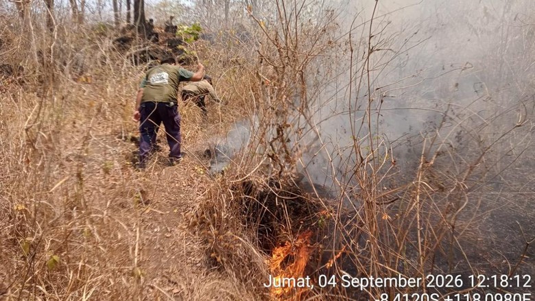 Gunung Tambora Terbakar 4 Hari, Lahan Hangus Capai 834 Hektare