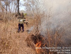 Gunung Tambora Terbakar 4 Hari, Lahan Hangus Capai 834 Hektare