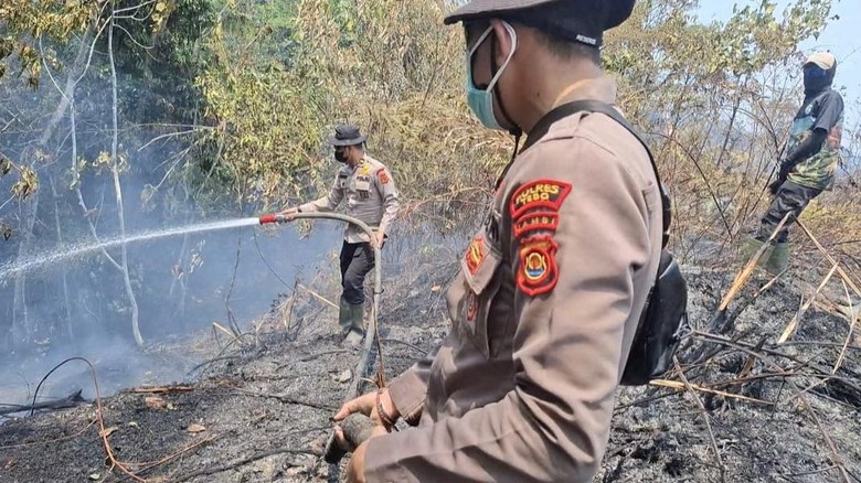 86 Hektare Karhutla di Tebo Berhasil Dipadamkan Satgas