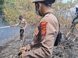 86 Hektare Karhutla di Tebo Berhasil Dipadamkan Satgas