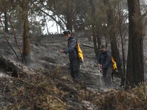 300 Pelaku Wisata Jibaku Padamkan Karhutla Gunung Ijen