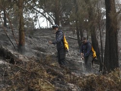 300 Pelaku Wisata Jibaku Padamkan Karhutla Gunung Ijen