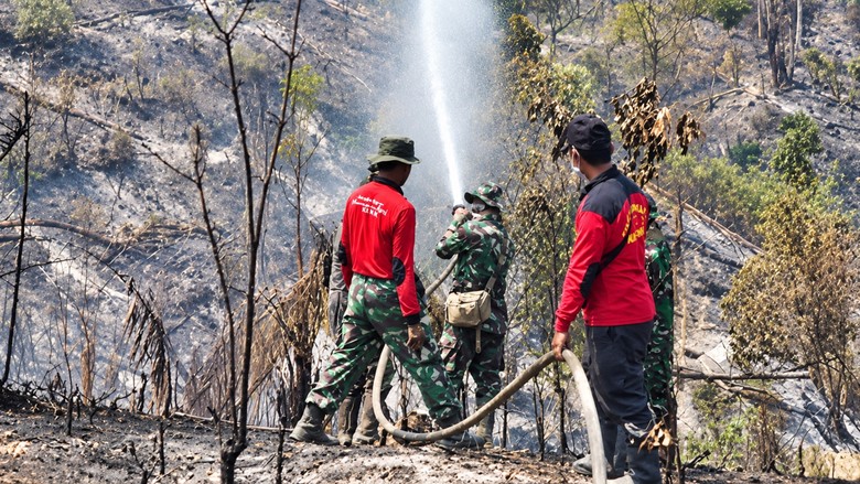 DPRD Jambi Minta Menhut Transparan Soal Perusahaan Diduga Terlibat Karhutla