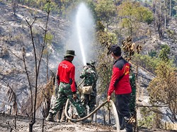 Taman Hutan Raya Batang Hari Terbakar, Luasnya Diperkirakan 50 Hektare