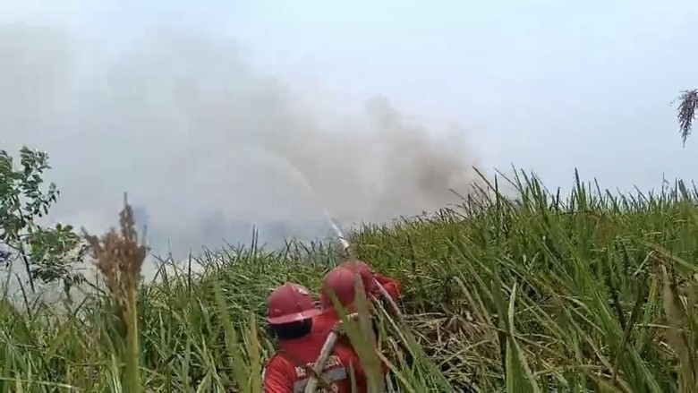 Karhutla di SM Padang Sugihan Capai 2.300 Hektare, BKSDA Siagakan 7 Posko
