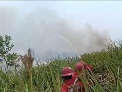 Karhutla di SM Padang Sugihan Capai 2.300 Hektare, BKSDA Siagakan 7 Posko