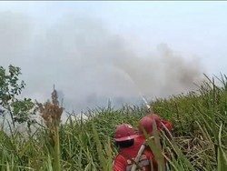 Karhutla di SM Padang Sugihan Capai 2.300 Hektare, BKSDA Siagakan 7 Posko