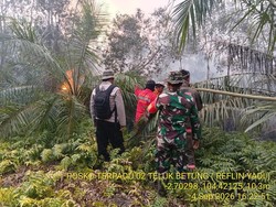 Titik Panas Terdeteksi di Buana Murti, Tim Gabungan Padamkan Api