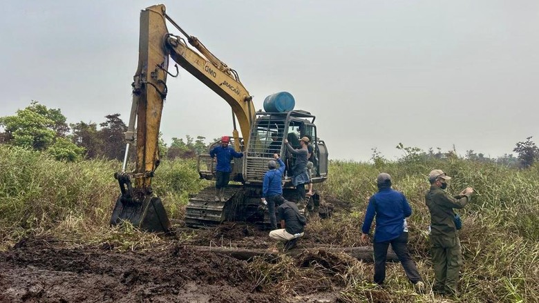 Diduga Lakukan Aktivitas Buka Hutan Ilegal, 2 Orang Diamankan