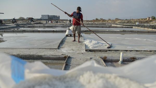 Garam Lokal Dipanen, Target Hentikan Impor Terus Dikejar