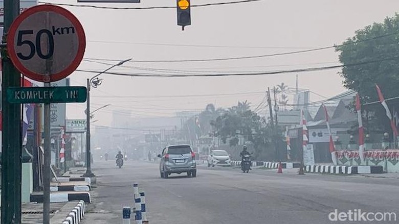 Anggaran Belanja Tidak Terduga Kobar Menyusut di Tengah Ancaman Karhutla