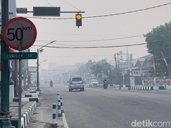 Anggaran Belanja Tidak Terduga Kobar Menyusut di Tengah Ancaman Karhutla