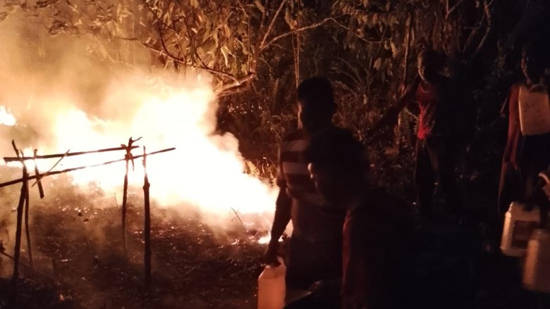 100 Hektare Lahan di Maluku Tengah Terbakar, Api Sudah 21 Hari Belum Padam