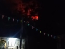 Hutan Bukit Tunggul Kebakaran, Diduga Dipicu Aktivitas Buka Lahan
