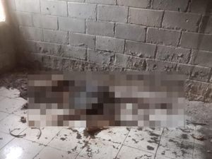 5 Tahun Hilang, Kakak-Adik di Banyuasin Sumsel Ditemukan Tinggal Kerangka