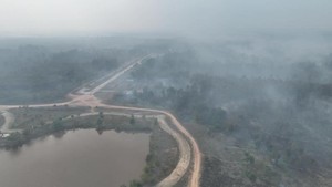 Kebun Raya Sriwijaya Masih Terbakar, Maksimalkan Pemadaman Darat