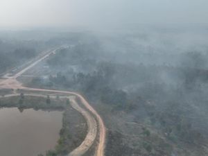 Kebun Raya Sriwijaya Masih Terbakar, Maksimalkan Pemadaman Darat