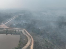 Kebun Raya Sriwijaya Masih Terbakar, Maksimalkan Pemadaman Darat