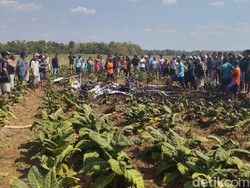 Pesawat Capung Jatuh-Terbakar di Blora, Begini Kondisi 2 Awaknya