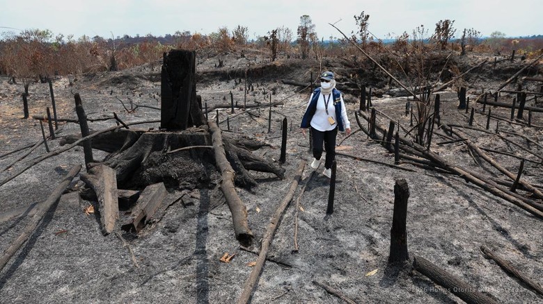 Water Bombing Percepat Penanganan Karhutla, Titik Panas di IKN Berkurang
