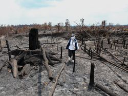 Water Bombing Percepat Penanganan Karhutla, Titik Panas di IKN Berkurang
