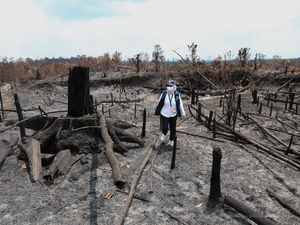 Water Bombing Percepat Penanganan Karhutla, Titik Panas di IKN Berkurang