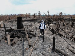 Water Bombing Percepat Penanganan Karhutla, Titik Panas di IKN Berkurang